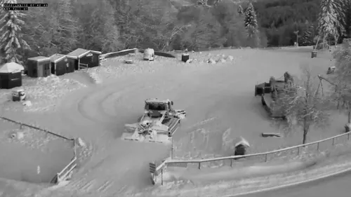 Enfin de la neige fraîche sur les stations des Vosges ! 